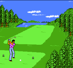 Golf '92, The (Japan) In game screenshot